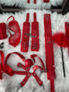 BDSM Kit-5